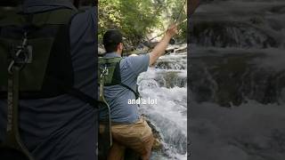 Fly Fishing in the Heat? Look for These 3 Things
