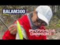 レイラ✨バラム300❗️連発💥トドメのエイトトラップ