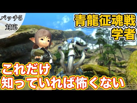 【FF14】青龍征魂戦に学者(ヒーラー)で挑戦【これだけ知っていれば怖くないヒーラー編 2021年版】