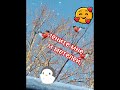 открытка#весна#доброе утро#приветствие#открытка#