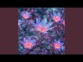 Magic Flowers