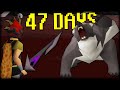 I spent 47 days in the wilderness  osrs ironman endgame 13