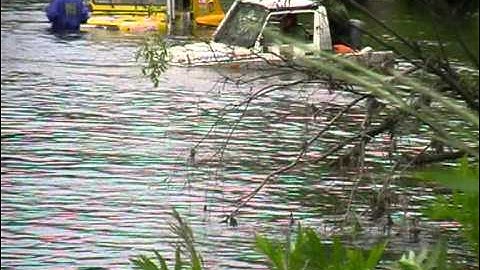 "Броуновское движение 2011"