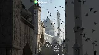 Julfan.khan4
