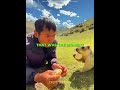 This Groundhog made a best friend(📷thebobakmarmot/YT)🥰 #shortsfeed #pets #edit