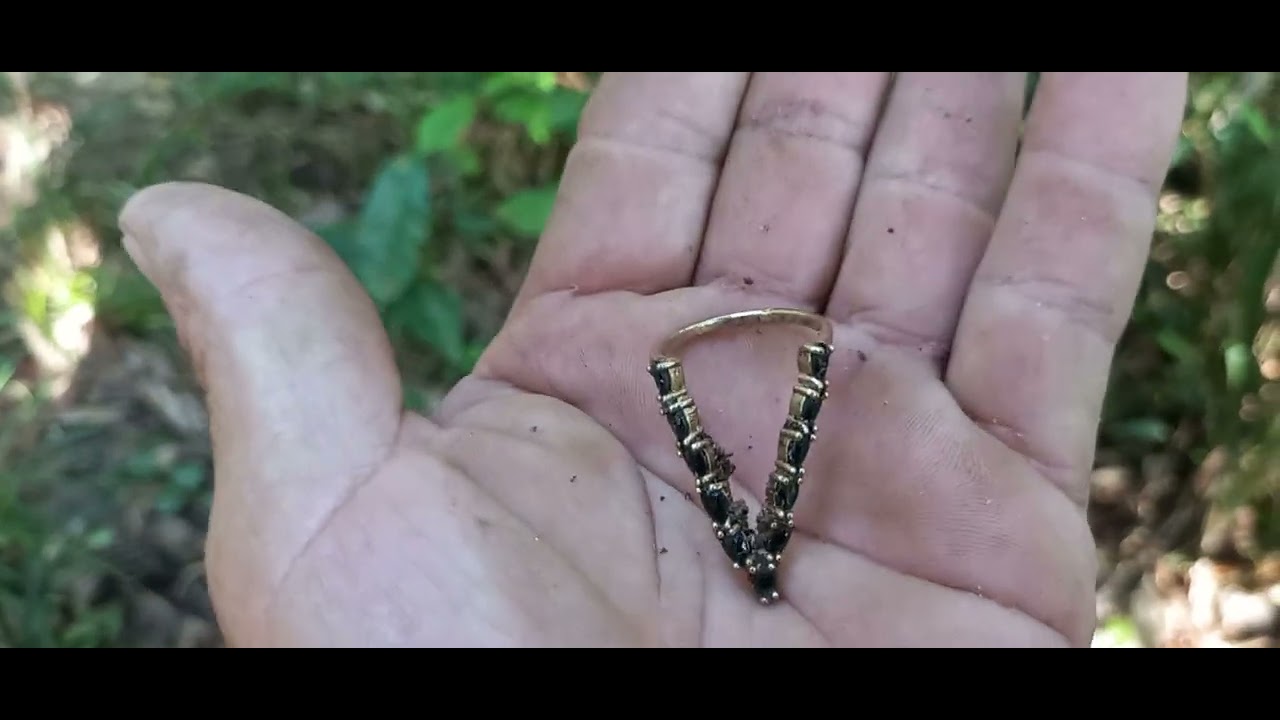 22 de fevereiro de 2026