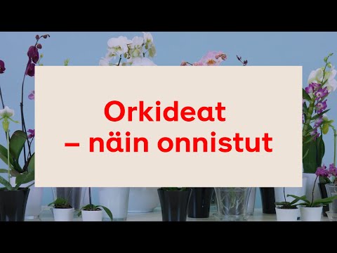 Video: Meripihkahappo Sisäkasveille, Mukaan Lukien Orkideat: Miten Sitä Käytetään Oikein