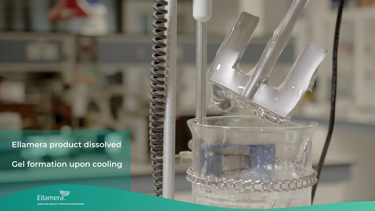 Ellamera Processing Recommendations