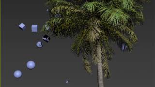 Famous Palm Tree Dynamic simulation Tyflow Experiment Wealth