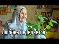 "Любовь передается". Схимонахиня Савва. Фильм 3-ий. Никольское