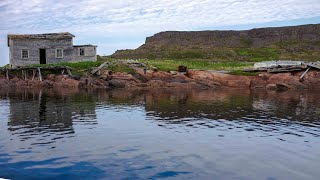 Part II Discovering Northern Peninsula and Southern  Labrador by boat