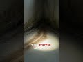 The Mystery of the Locked Basement Door! #unsolved #disappear
