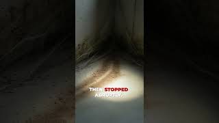 The Mystery of the Locked Basement Door! #unsolved #disappear