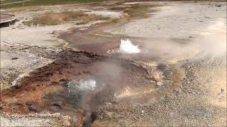 Cinnamon West Geyser & Cinnamon Spouter (2025)