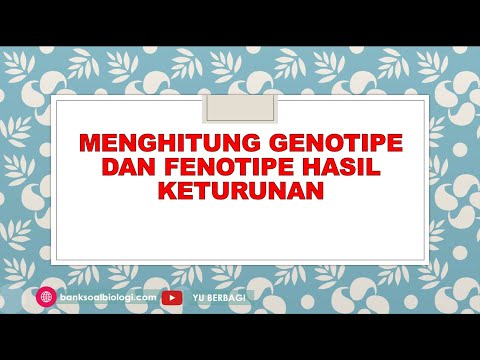 Cara Menghitung Genotipe dan Fenotipe Hasil Keturunan dengan Diagram Garpu | Materi Biologi Kelas 12