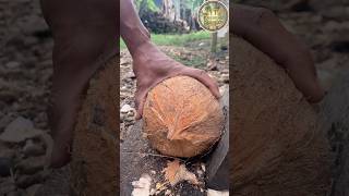 Peel The Red Coconut Fiber From The Shell