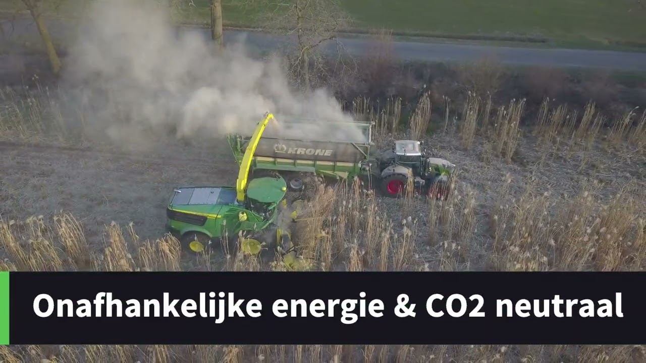 Eerste oogst miscanthus GrasKool