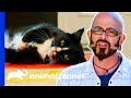 Cat Owner Needs To Learn How To Act Confident | My Cat From Hell