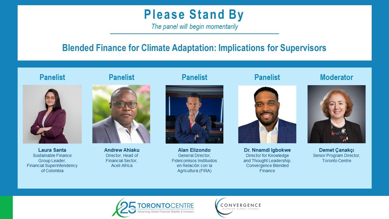 Blended Finance for Climate Adaptation: Implications for Supervisors ...
