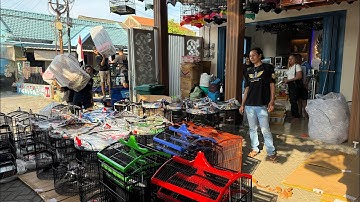 PUSAT PERBELANJAAN BURUNG DAN SANGKAR TERMURAH DI JAWA TIMUR