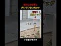 絶対に番犬に向いてない犬www #short