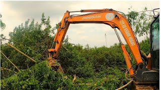 Doosan Mini Excavator: Venturing Deep into the Forest to Clear Water Channels for Shrimp Ponds