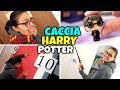 CACCIA AL TESORO HARRY POTTER a Sorpresa per Ale