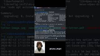 Set Up VPN in Kali Linux in Minutes 🔐 | OpenVPN + VPNBook