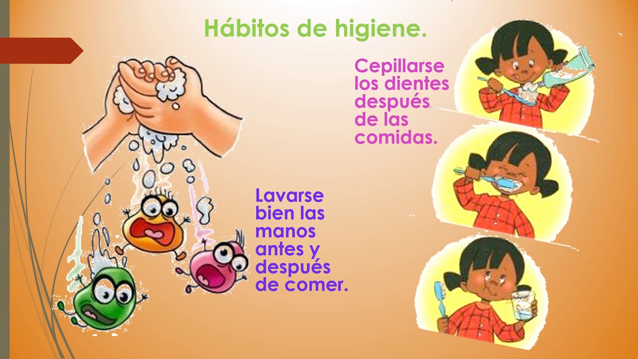 Cuidados del sistema digestivo - YouTube