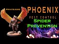 Spider Prevention #whatbugsme | Phoenix Pest Control TN