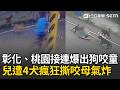 彰化、桃園接連爆！13歲童遭流浪狗圍攻 摔車掛彩狂奔800M逃回家 桃園男童遭4犬撕咬尖叫 恐怖畫面曝光！家屬怒：不是第一個了｜三立新聞LIVE