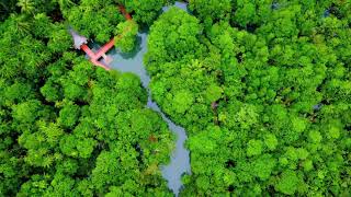 Rediscover Wellness through the Soothing Strains of Relaxing Music for Stress Relief