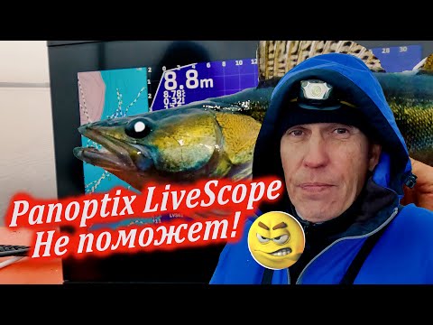 Panoptix LiveScope тут НЕ ПОМОЖЕТ. Рыбалка в ноябре 2023