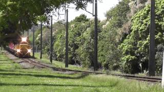 Manawatu (Feilding) 2013-11-15