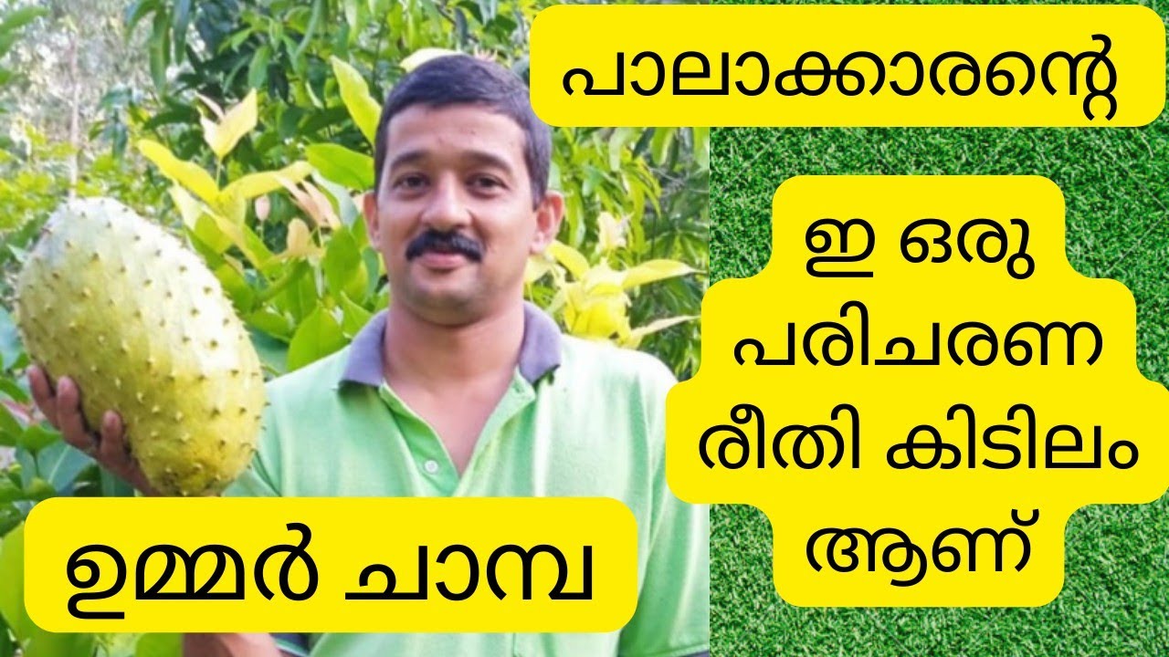 പ്രകൃതി സ്നേഹിയായ ഒരു Advocate
