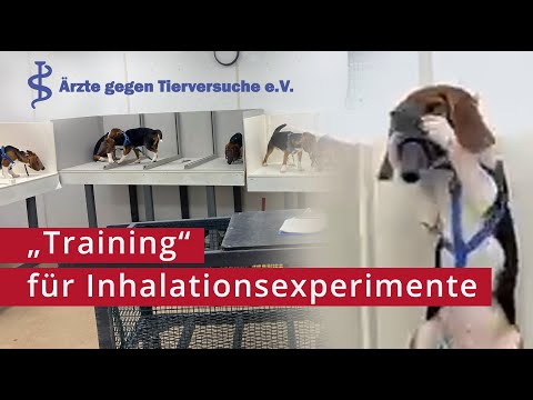 "Training" for inhalation experiments
