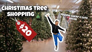 BUYING OUR FIRST CHRISTMAS TREE !!! | $20 6ft tree shopping | vlogmas day 4