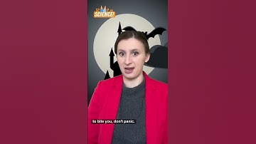 😳 Can a bat really turn you into a vampire?! #shorts #science #vampire #paranormal #kidscience