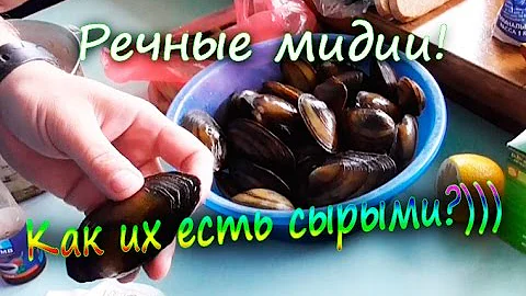 Речные мидии перловицы Какие вкуснее сырые или жаренные (эксперимент) | Лысый Повар