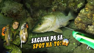 SAGANA PA SA LUGAR NA ITO 😱 | EPISODE 162 | NIGHT SPEARFISHING PHILIPPINES  | Drin's Adventure