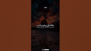 سورة الزخرف }{#المنشاوي_الحصري_عبد_الباسط_السديس