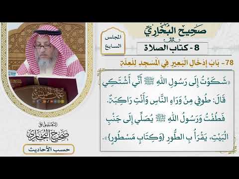 [464] حديث: طوفي من وراء الناس وأنت راكبة [كتاب الصلاة - باب إدخال البعير في المسجد للعلة]