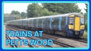 You Won’t Believe These Trains at Petts Wood | DMUs, EMUs & Surprising Visitors!