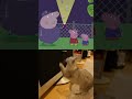 【There are moths🔦】#shorts