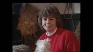 Playdays The Christmas Tree Stop Thursday 1990