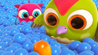 Hop Hop the owl finds a surprise egg in a ball pit! Baby videos & baby cartoons for kids.