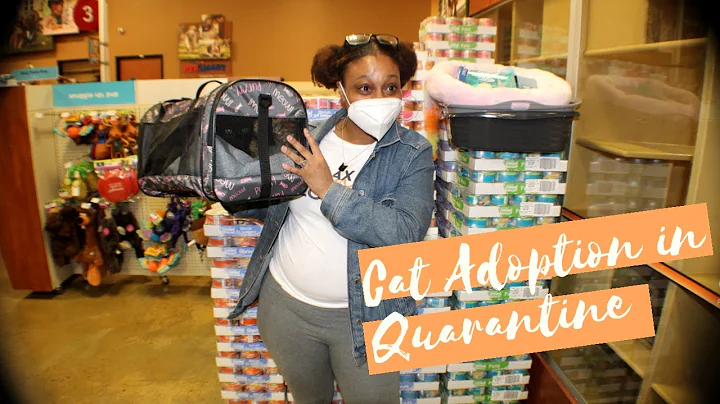Adopting a new Cat During Quarantine | Cat Adoption VLOG