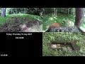 2021年 飯綱レストラン（ログ置場 https://youtu.be/Htyi4r8CAgA に変更しましたm(_ _)m）　Iizuna Restaurant 2021