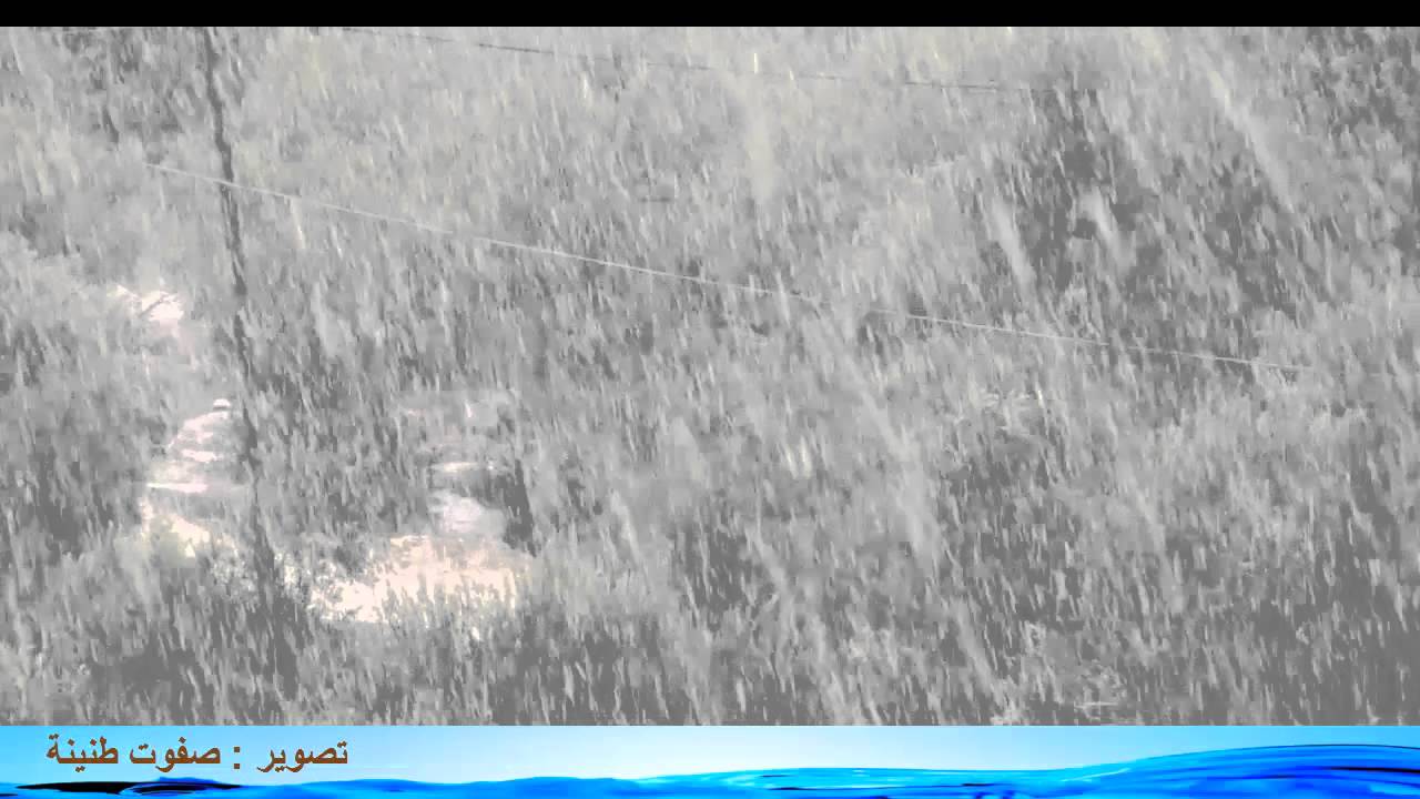 ترقوميا في قلب العاصفة الثلجية