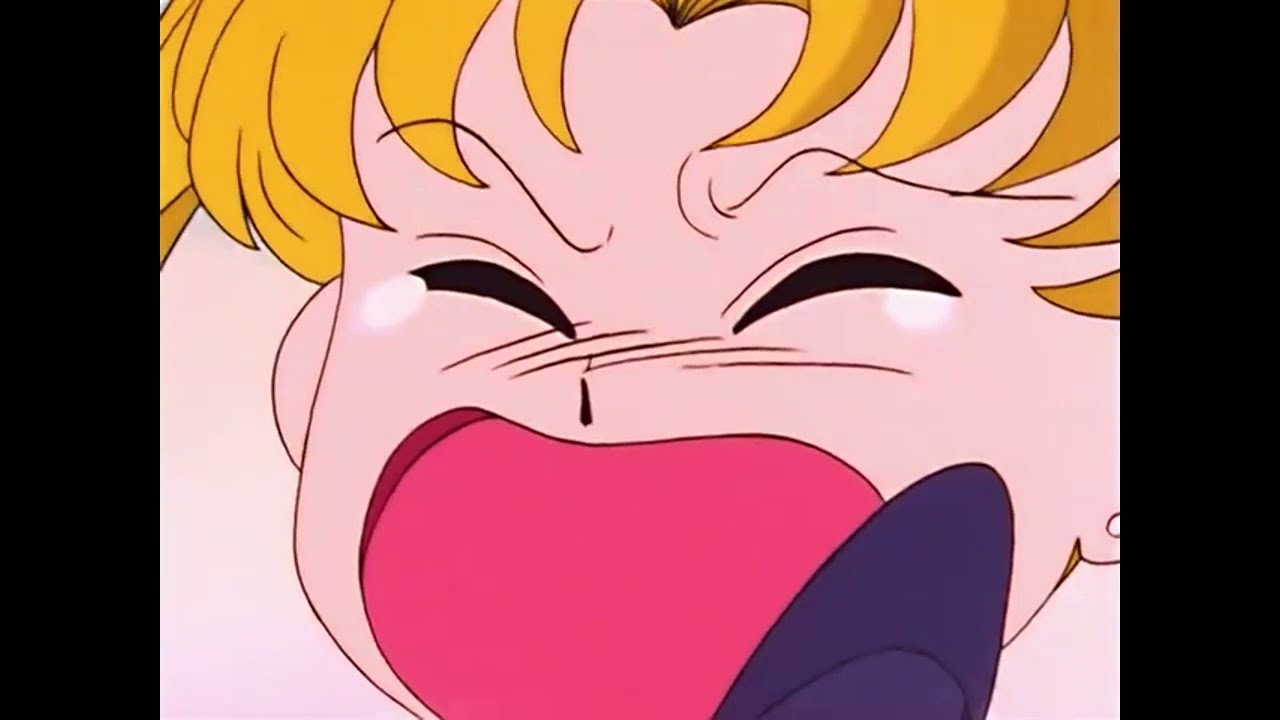 Sailor Moon Classic Episode Viz Dub Mamoru Makes Usagi Cry Stephanie